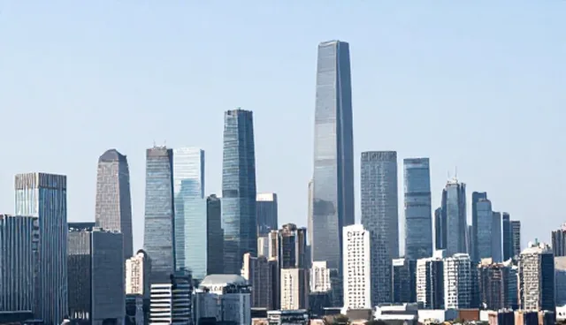 信息查询平台的稳定性与限制分析